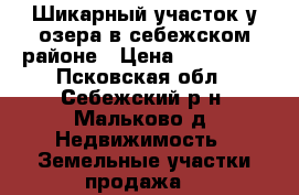 Шикарный участок у озера в себежском районе › Цена ­ 420 000 - Псковская обл., Себежский р-н, Мальково д. Недвижимость » Земельные участки продажа   